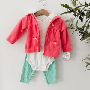 Carter’s 9 M Baby girl outfit